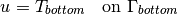 u = T_{bottom} \ \ \ \mbox{on}\ \Gamma_{bottom}